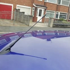 Paintmodz Short Aerial Mast With Genuine Ford Aerial Base (Painted)