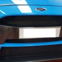 Paintmodz Proform Painted/Carbon Fibre Hydrodipped Number Plate Panel - Mk3.5 Ford Focus RS Ford Focus Mk3.5