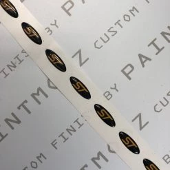 Paintmodz Proform Ltd Keyless Key Cover Gel Badge Inlay ST Or RS Ford Focus