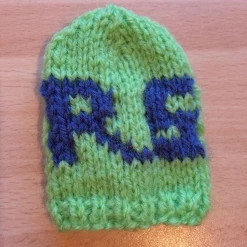 Paintmodz Proform Ford Focus RS Gear Knob Cosie