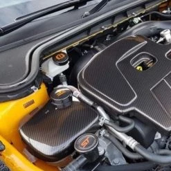 Proform Coolant Tank Cover (hydrodipped) - Mk4 Ford Focus