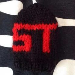 Paintmodz Proform Gear Knob Cosie - Ford Focus / Fiesta / Puma ST