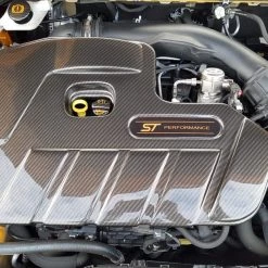 Paintmodz Proform Ltd Proform Engine Cover - MK4 Focus ST Petrol Painted/ Hydrodipped