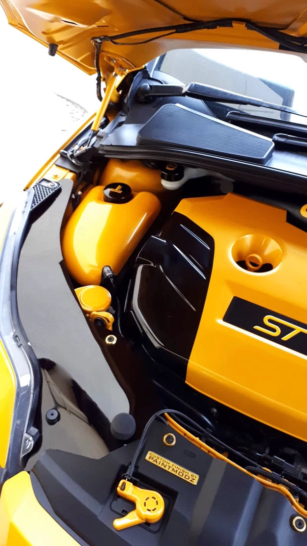 Paintmodz Proform Ltd Proform Pre- Facelift Slam Panel Ends - MK3 Focus 10 Paintmodz Proform Ltd Proform Pre- Facelift Slam Panel Ends - MK3 Focus