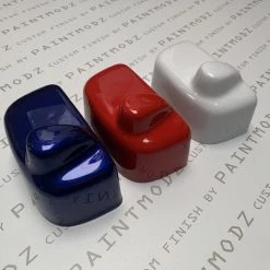 Proform ECU Cover (Painted/Hydrodipped) - Mk7.5 Ford Fiesta